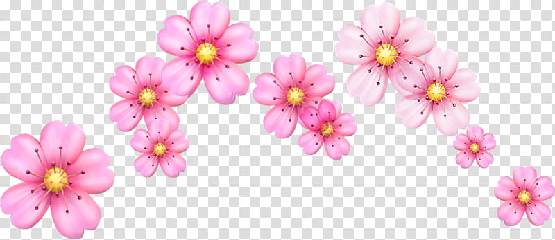 Smiley Face, Blossom, Cherry Blossom, Emoji, Flower, Emoticon, Cherries, Sticker transparent background PNG clipart