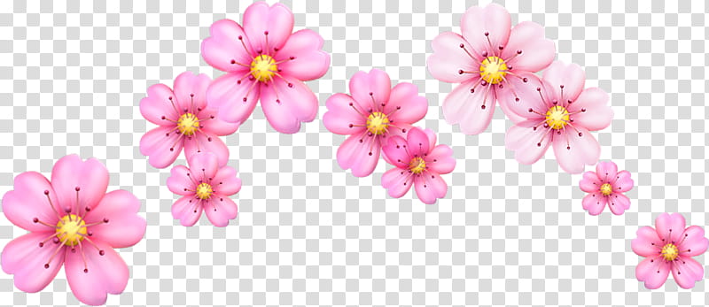 flower emoticon