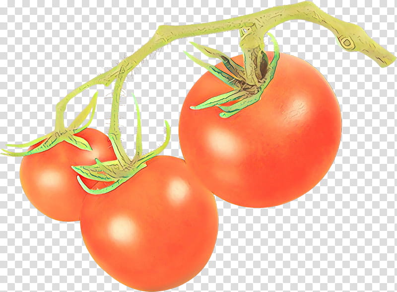 Drawing Of Family, Plants, Cherry Tomato, Natural Foods, Bush Tomato, Solanum, Fruit, Vegetable transparent background PNG clipart