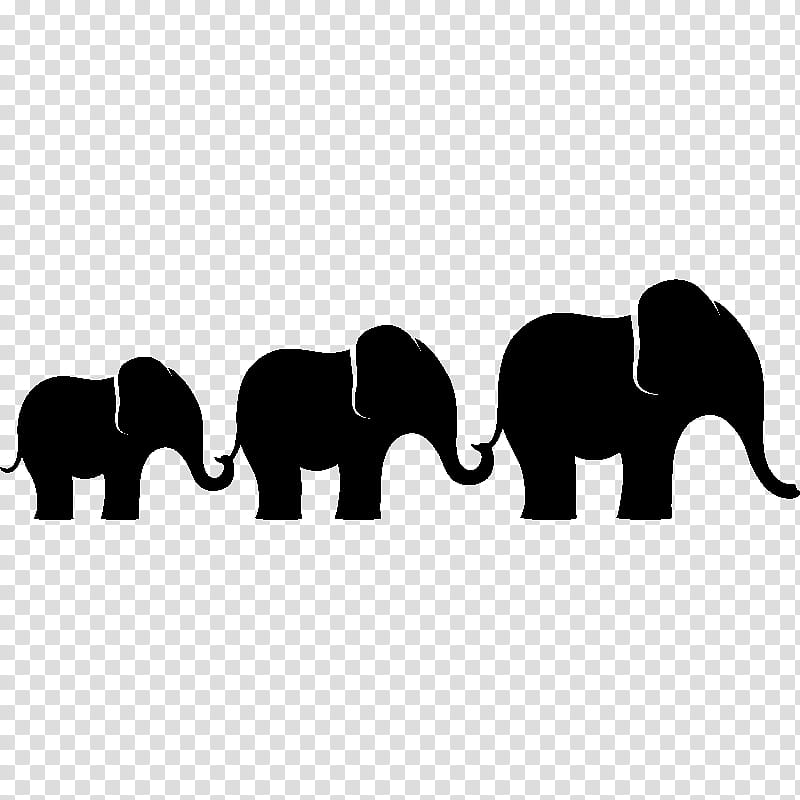 Indian Elephant, African Elephant, Black White M, Silhouette, Snout, Animal, Asian Elephant, Animal Figure transparent background PNG clipart