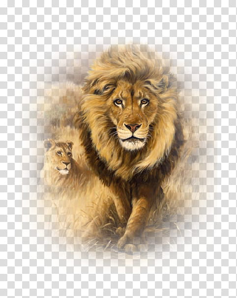 Lion King, Cat, Drawing, Painting, Roar, Animal, Canvas, Embroidery transparent background PNG clipart