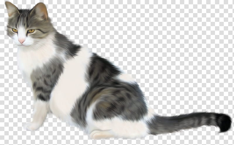 Dog And Cat, Siamese Cat, Persian Cat, American Shorthair, British Shorthair, Ragamuffin Cat, European Shorthair, Ragdoll transparent background PNG clipart