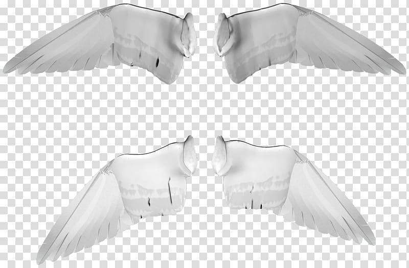 Wings Angel, two white wings transparent background PNG clipart