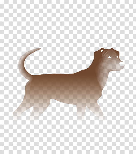 Dog And Cat, Puppy, Louisiana Catahoula Leopard Dog, Breed, Brindle, Snout, Agility, Tail transparent background PNG clipart