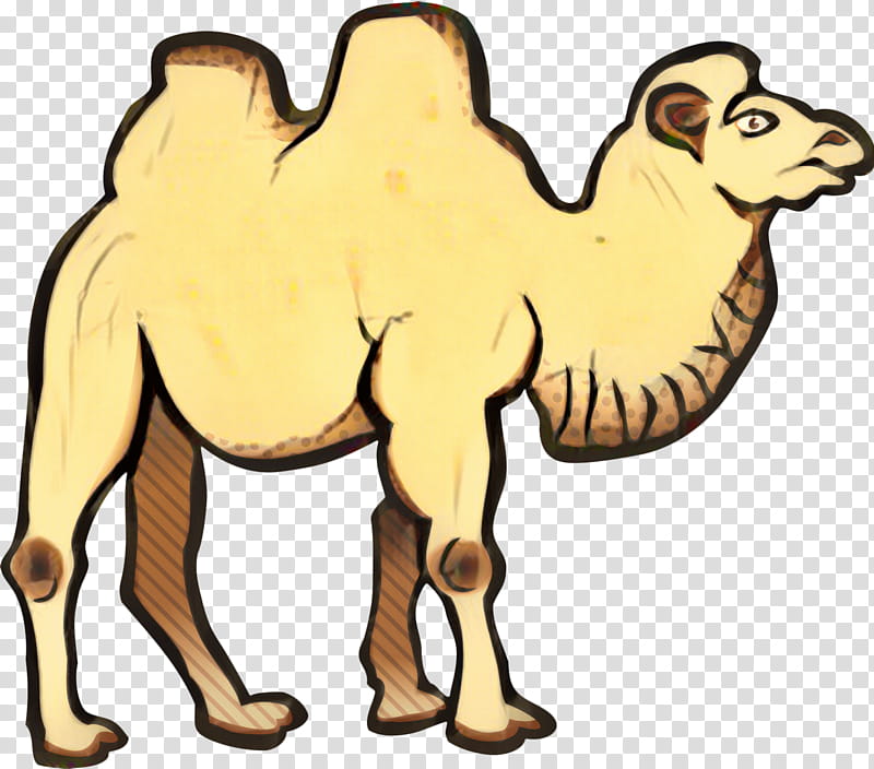 Animal, Bactrian Camel, Dromedary, Drawing, Wild Bactrian Camel, Cartoon, Camelid, Arabian Camel transparent background PNG clipart