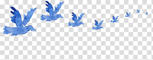 Watercolor Bird s, flock of blue bird illustrations transparent background PNG clipart