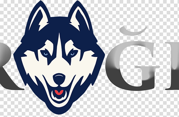 American Football, University Of Connecticut, Connecticut Huskies Football, Connecticut Huskies Mens Basketball, Connecticut Huskies Womens Basketball, Ncaa Division I Football Bowl Subdivision, College Football, Coach transparent background PNG clipart
