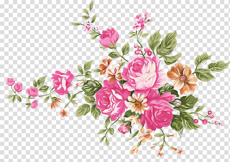 Rose, Flower, Pink, Prickly Rose, Plant, Cut Flowers, Petal, Rosa Rubiginosa transparent background PNG clipart