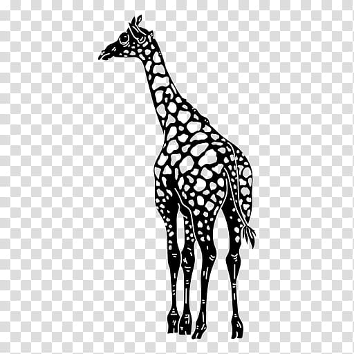 Book Silhouette, Northern Giraffe, Cartoon, Drawing, Animal, Giraffidae, Wildlife, Animal Figure transparent background PNG clipart