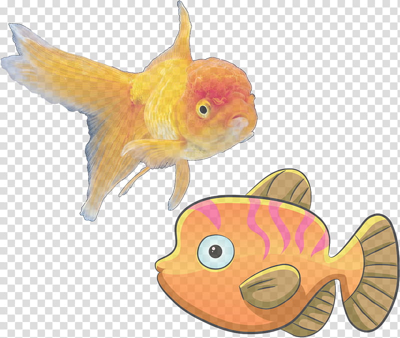 fish fish goldfish feeder fish fin, Bonyfish, Fish Supply, Cyprinidae transparent background PNG clipart