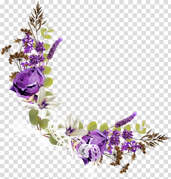 Flowers, Floral Design, Drawing, Purple, Frames, Violet, Lavender, Lilac transparent background PNG clipart