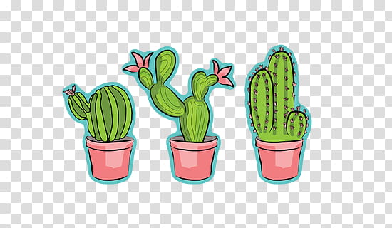 cactus illustration png