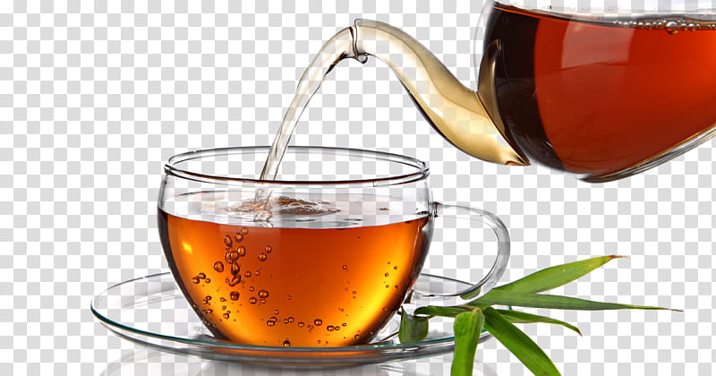 Leaf Green Tea, Turkish Tea, Darjeeling Tea, Turkish Cuisine, Herbal Tea, Oolong, Iced Tea, Tea Plant transparent background PNG clipart