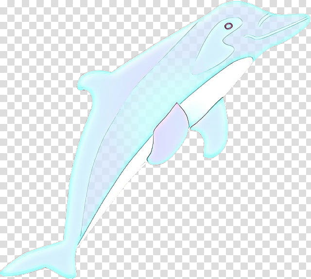 bottlenose dolphin fin dolphin marine mammal cetacea, Cartoon, Common Bottlenose Dolphin, Common Dolphins, Shortbeaked Common Dolphin, Wholphin transparent background PNG clipart