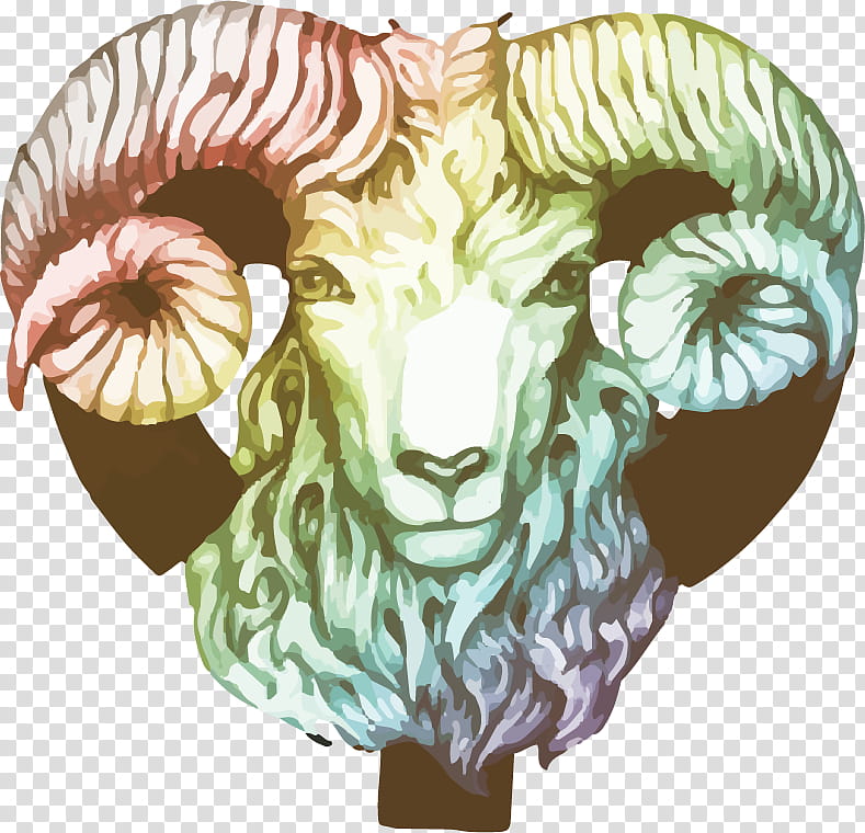 argali bighorn sheep sheep goats, Head, Aries, Goatantelope transparent background PNG clipart
