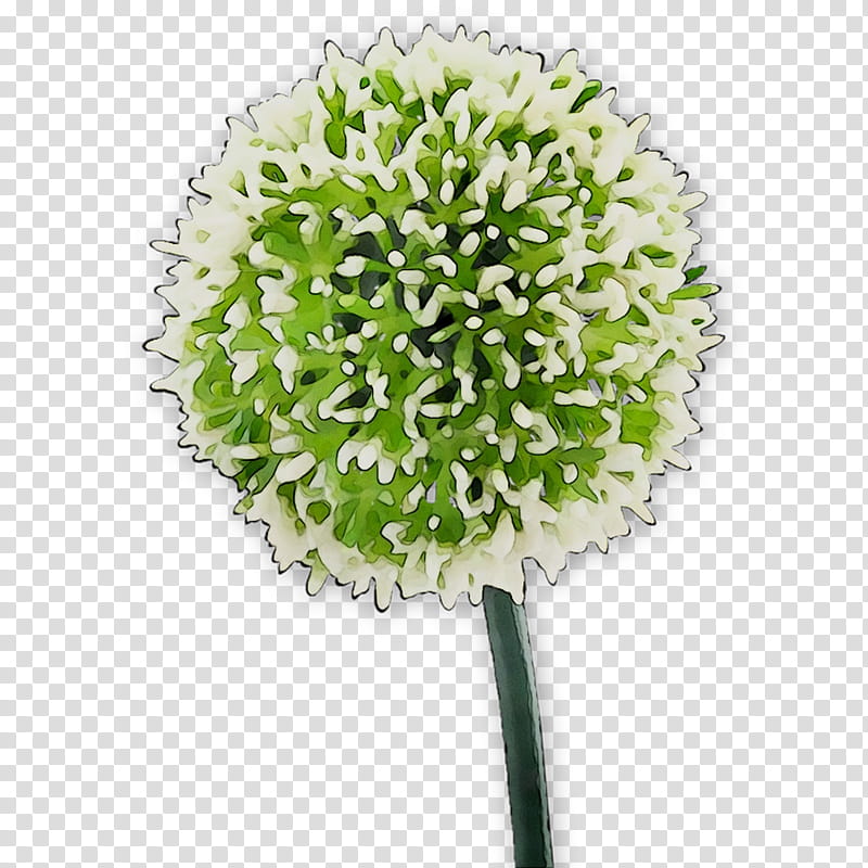 Green Grass, Cut Flowers, Flower Bouquet, Plant Stem, Flowerpot, Artificial Flower, Plants, Hydrangea transparent background PNG clipart