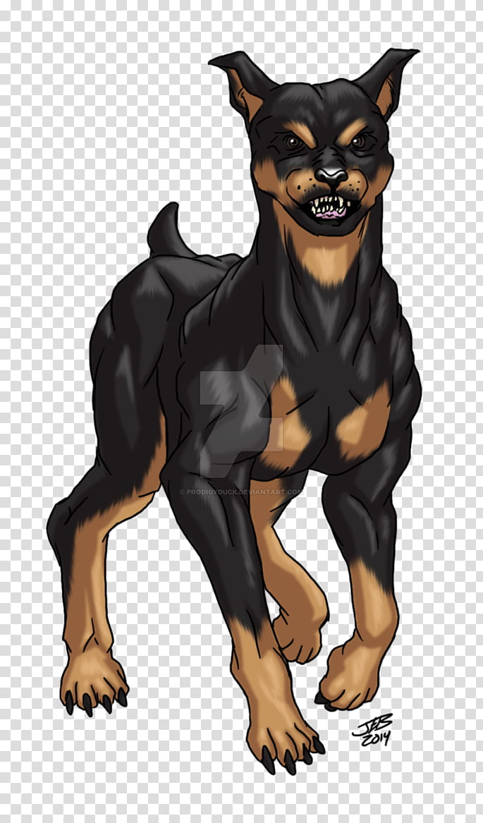 Dog Drawing, Lancashire Heeler, Miniature Pinscher, Dobermann, Manchester Terrier, English Toy Terrier, Russkiy Toy, Growling transparent background PNG clipart