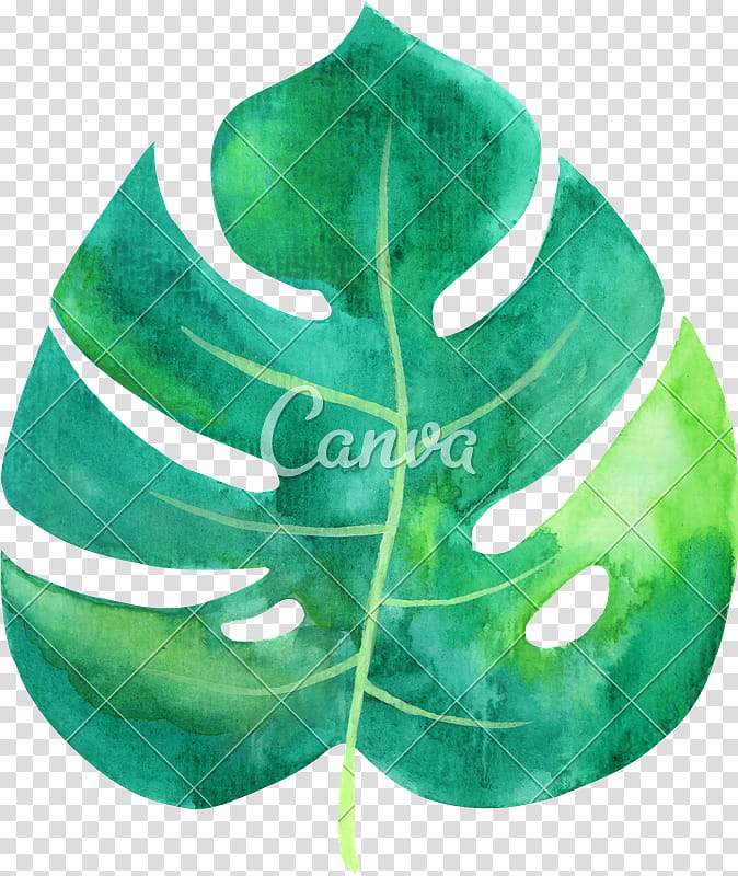Green Leaf Watercolor, Hammock, Watercolor Painting, Mayan Hammock Double Size Multicolor, Canvas, Plant transparent background PNG clipart