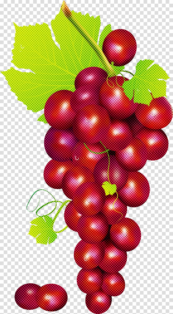 grape seedless fruit plant grapevine family fruit, Vitis, Grape Leaves, Natural Foods, Currant transparent background PNG clipart