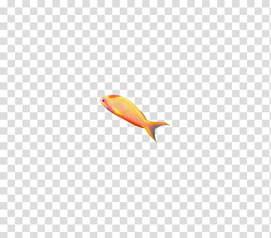 Amazing fishes, orange fish transparent background PNG clipart