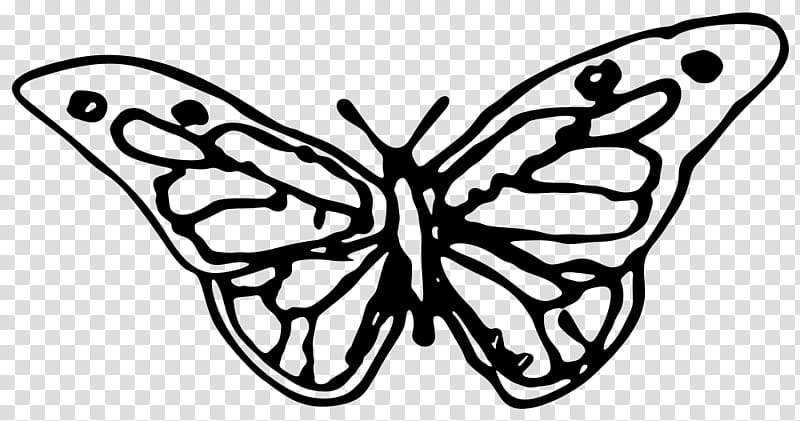 Monarch Butterfly Drawing, Silhouette, Painting, Line Art, Moths And Butterflies, Papilio Machaon, Blackandwhite, Insect transparent background PNG clipart