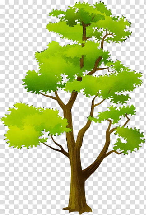 Arbor day, Watercolor, Paint, Wet Ink, Tree, Plant, Green, Woody Plant transparent background PNG clipart