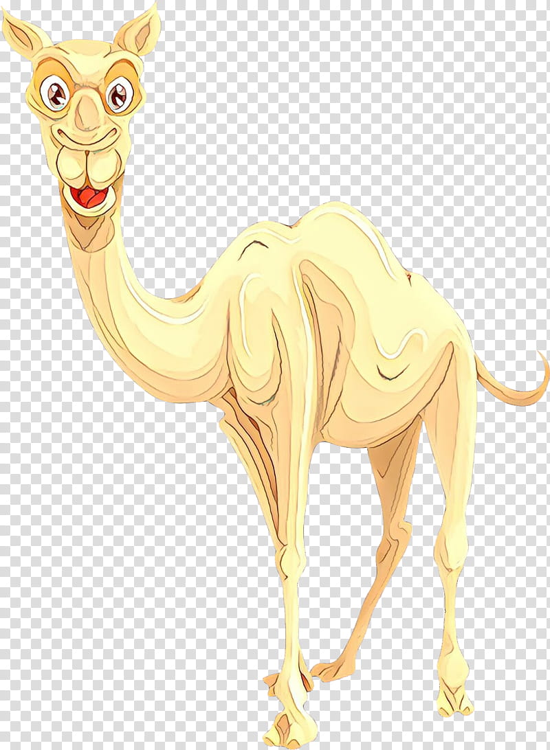 Animal, Cartoon, Dromedary, Bactrian Camel, Character, Terrestrial Animal, Neck, Fiction transparent background PNG clipart