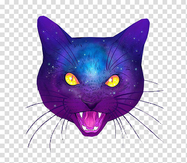 Cat Drawing, Bombay Cat, Korat, Kitten, Black Cat, Nyan Cat, Purr, Small To Mediumsized Cats transparent background PNG clipart