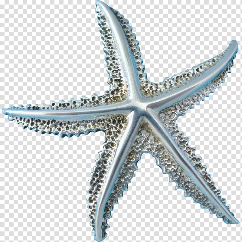 Red Star, Starfish, Turquoise, Jewellery, Pendant, Metal transparent background PNG clipart