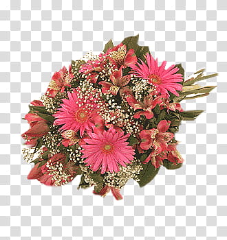 , pink daisies and red Peruvian lilies bouquet transparent background PNG clipart