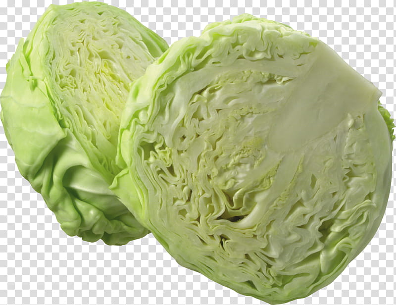 Chinese, Napa Cabbage, Romaine Lettuce, Vegetable, Cruciferous Vegetables, Savoy Cabbage, Cauliflower, Food transparent background PNG clipart