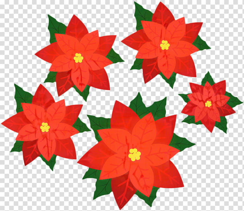 Christmas Poinsettia, Floral Design, Christmas Ornament, Cut Flowers, Petal, Christmas Day, Plants, Red transparent background PNG clipart