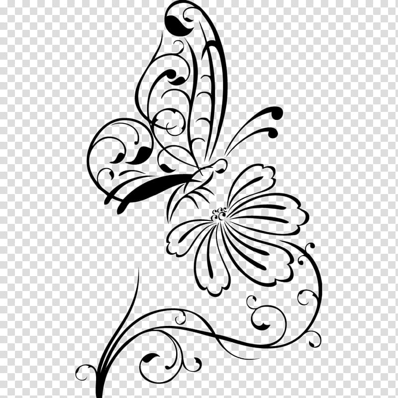 white abstract butterfly drawing abstract art line art