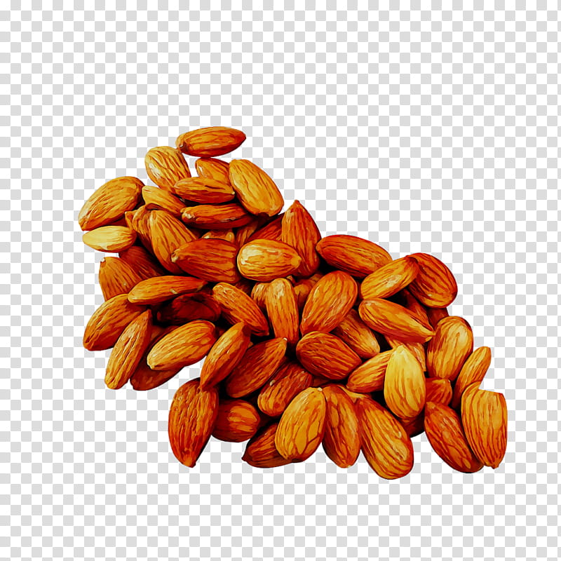Fruit, Nut, Dried Fruit, Peanut, Commodity, Superfood, Food Drying, Almond transparent background PNG clipart