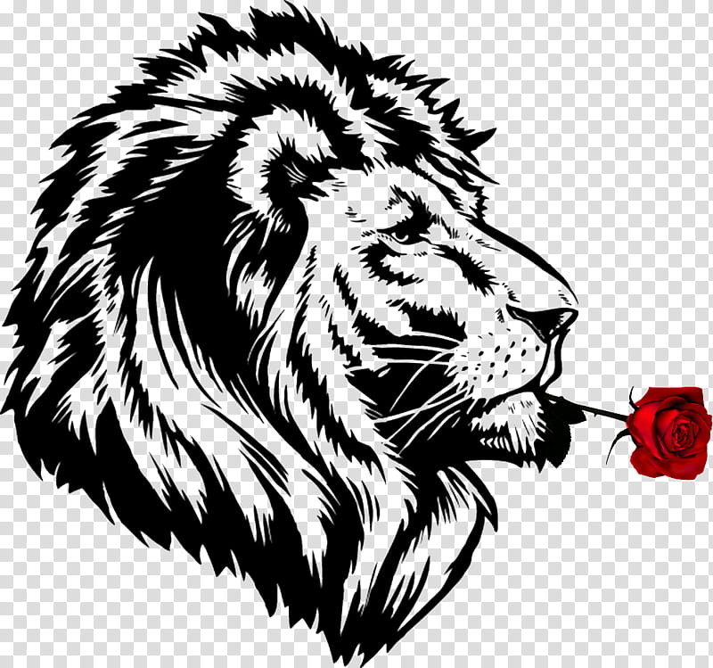 Lion Drawing, Cheetah, Roar, Lions Roar, Leopard, Cat, Jaguar, Cartoon transparent background PNG clipart