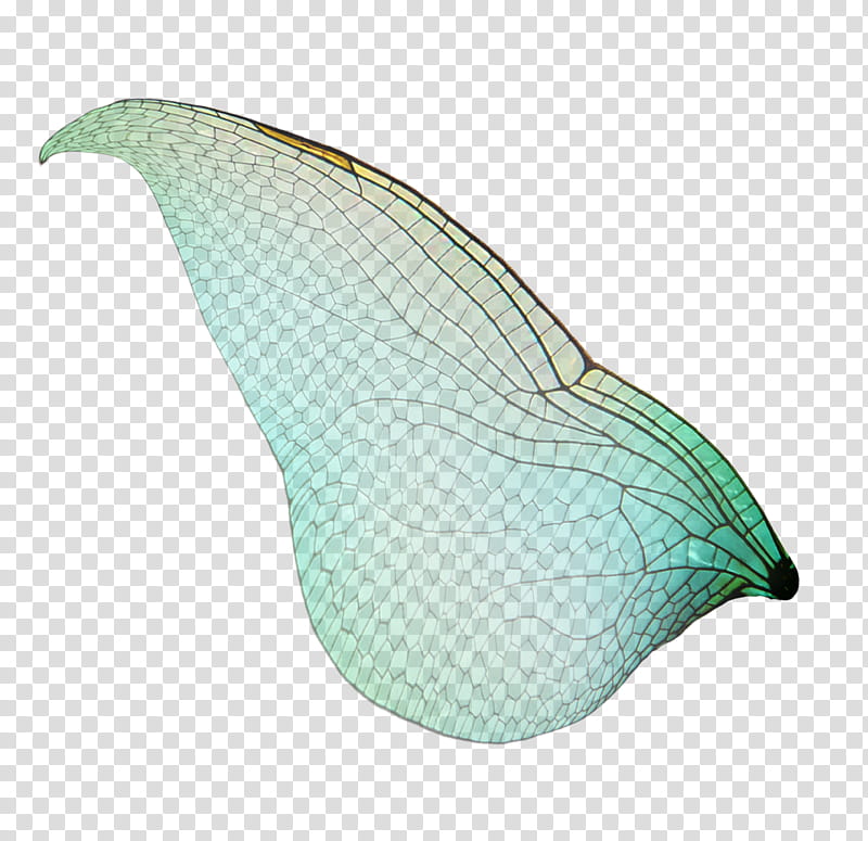 FAERY WINGS  All Things Precious transparent background PNG clipart