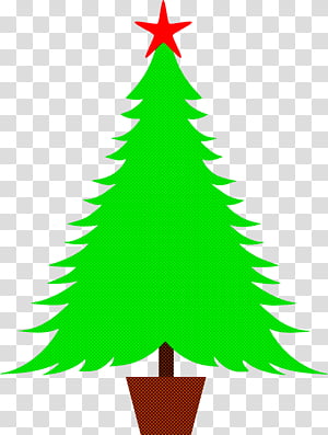 Christmas tree, Oregon Pine, Colorado Spruce, Christmas Decoration, Holiday Ornament, Conifer, Woody Plant transparent background PNG clipart thumbnail