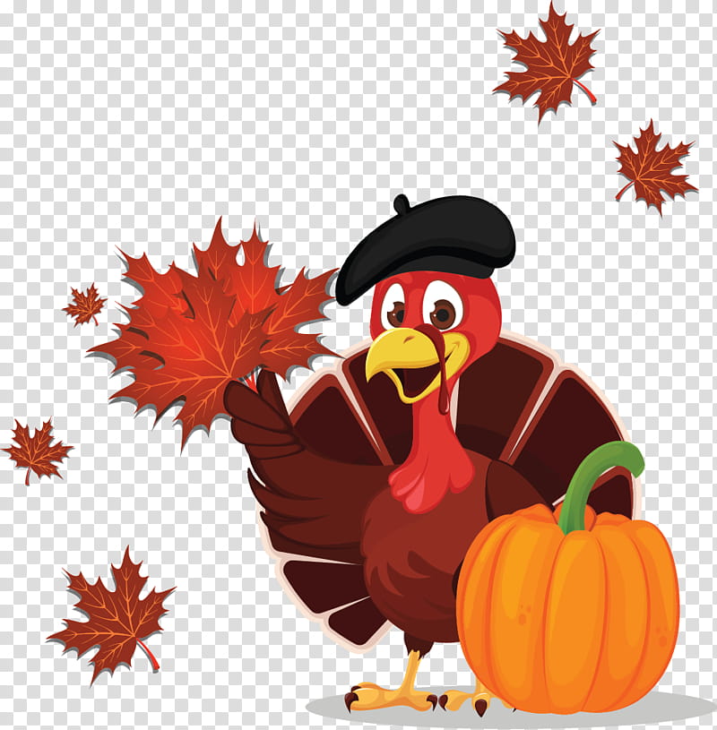 Turkey Thanksgiving, Thanksgiving Dinner, Turkey Meat, Holiday, Chicken, Bird, Beak, Rooster transparent background PNG clipart