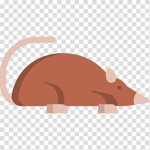 Snail, Rat, SHREW, Computer Mouse, Animal, Snout, Nose, Pig transparent background PNG clipart