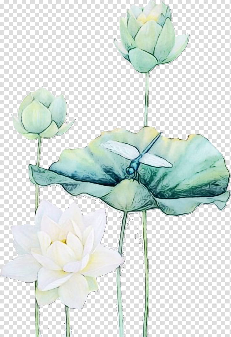 Water Paint Flowers, Watercolor, Wet Ink, Garden Roses, Cabbage Rose, Cut Flowers, Floral Design, Vase transparent background PNG clipart