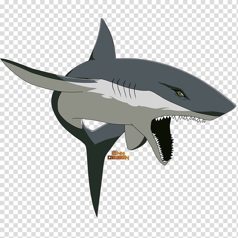 Naruto Shippuden|Kisame&#;s Summoning Shark, shark illustration transparent background PNG clipart