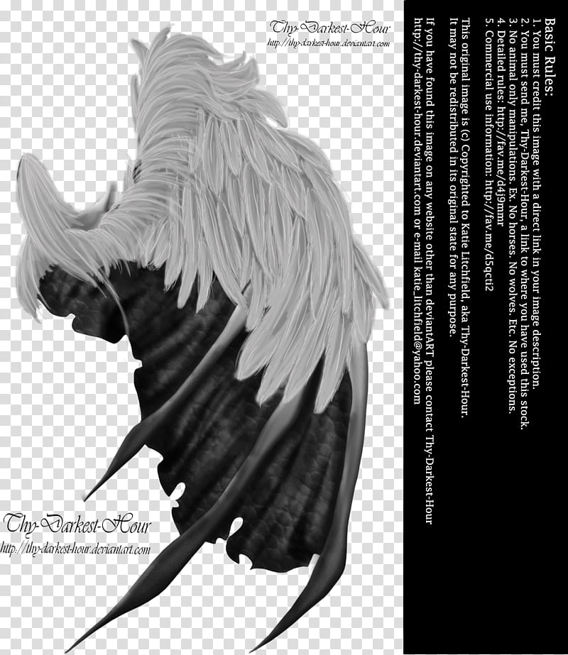 Feathered Demon Wings , black and white illustration transparent background PNG clipart
