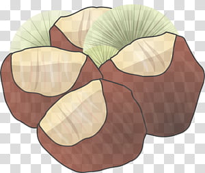 leaf plant petal transparent background PNG clipart thumbnail