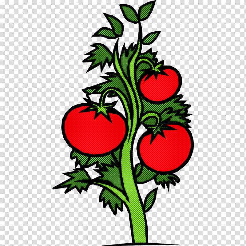 Tomato, Plant, Leaf, Plant Stem, Tree, Flower transparent background PNG clipart