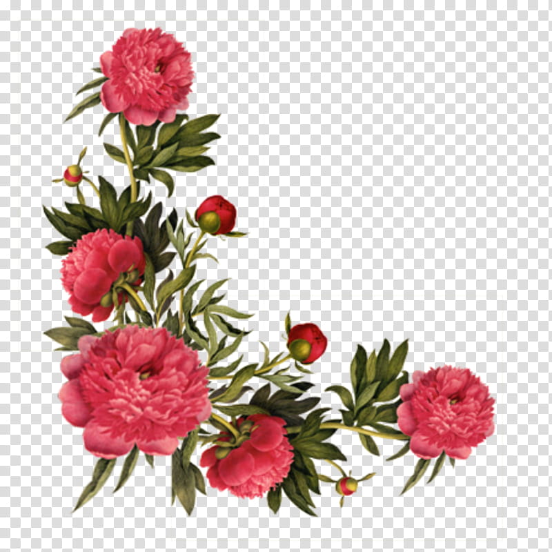 Rosas transparent background PNG clipart