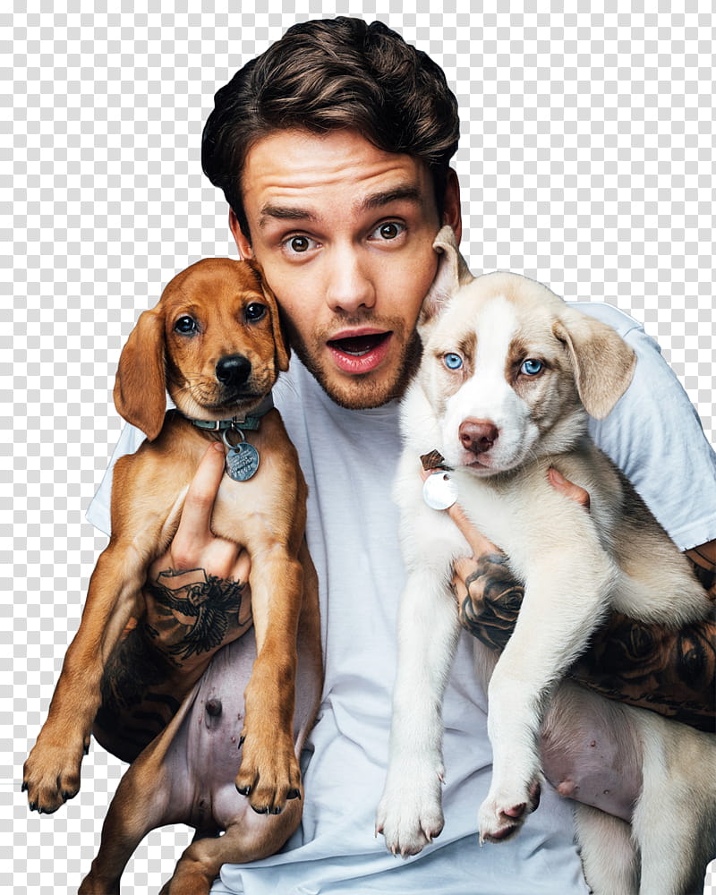 Liam Payne transparent background PNG clipart