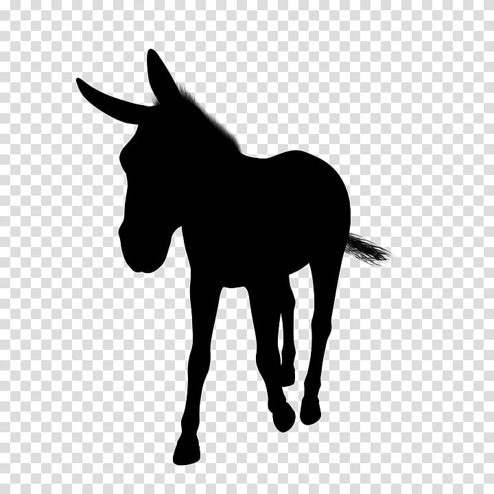 Donkey, Mule, Foal, Mustang, Stallion, Halter, Pony, Black White M transparent background PNG clipart