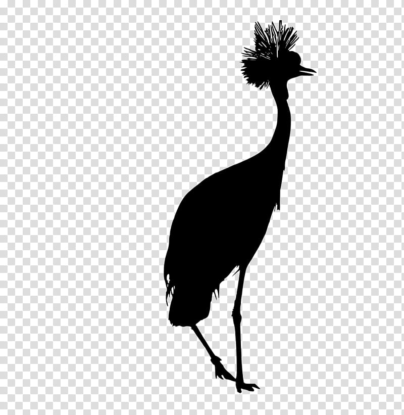 bird beak flightless bird crane-like bird emu, Cranelike Bird, Ratite, Wildlife, Silhouette transparent background PNG clipart
