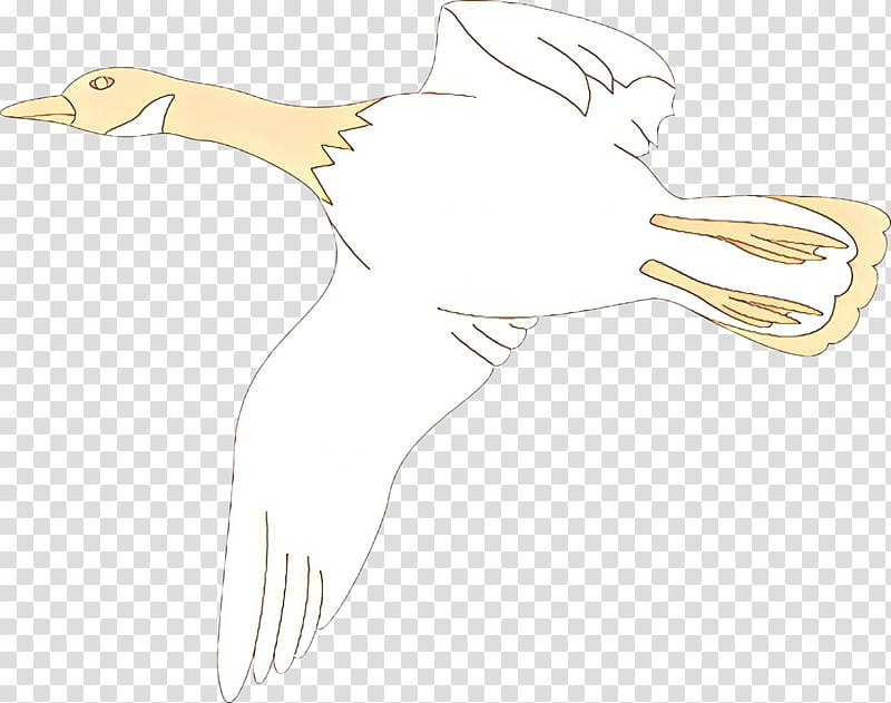 bird goose stork water bird beak, Wing, Duck, Drawing, Ciconiiformes transparent background PNG clipart