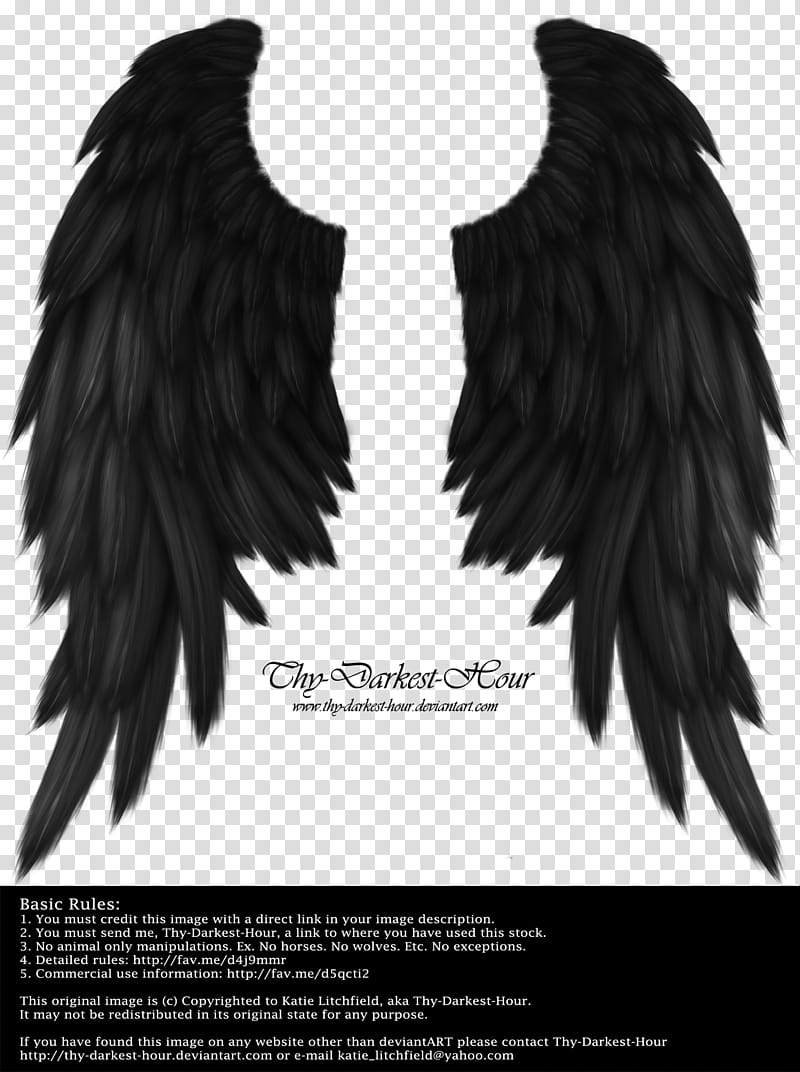 Daydream Wings Black, black wing illustration transparent background PNG clipart